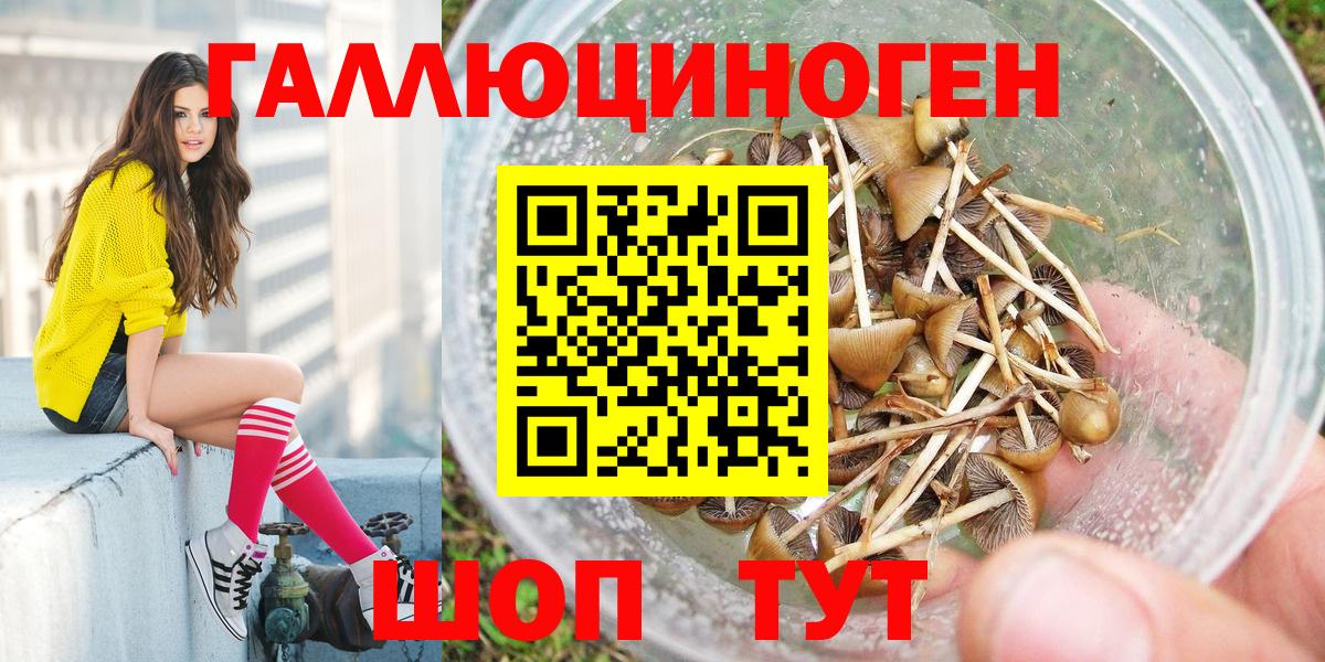 Лосино-Петровский  Псилоцибиновые грибы Cubensis  Вход с VPN 